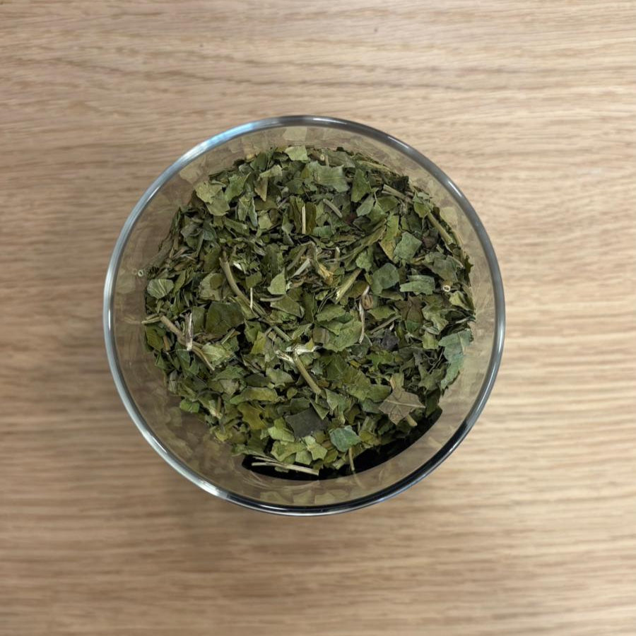 feuilles de gymnema sylvestre