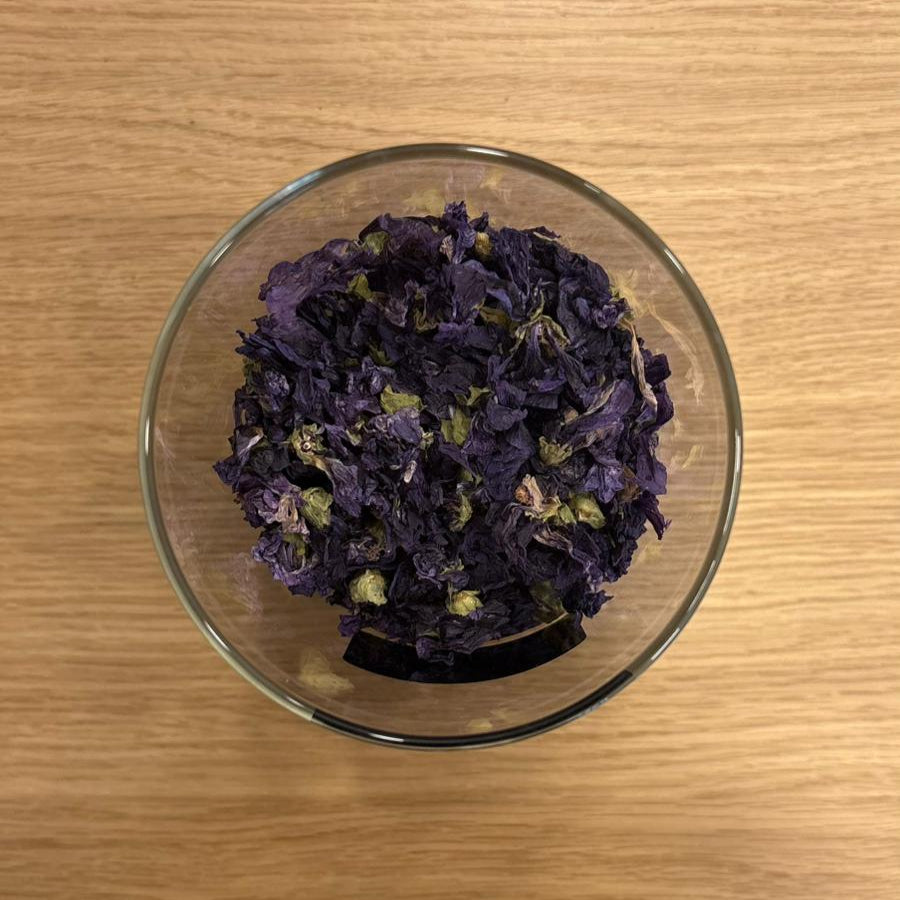 fleur séchée de mauve