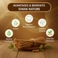 Bâton de Siwak – Miswak naturel