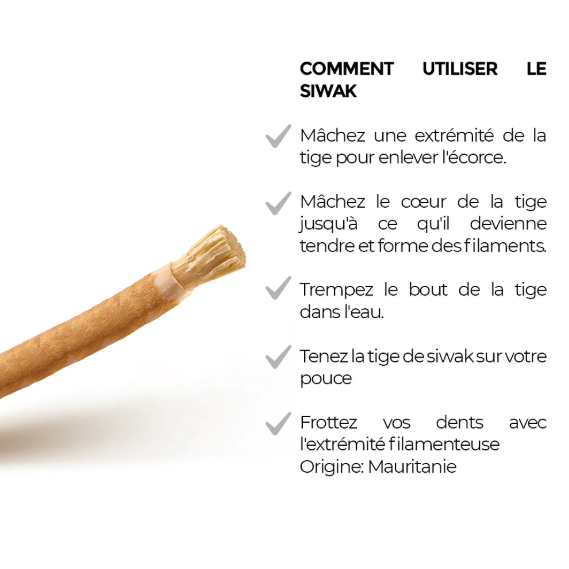 Bâton de Siwak – Miswak naturel