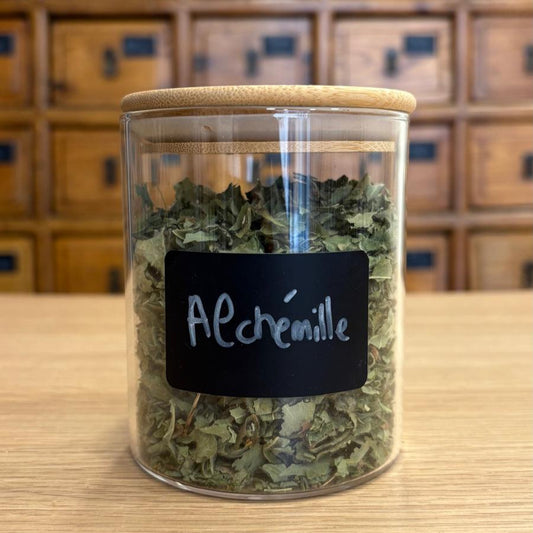 alchémille bio