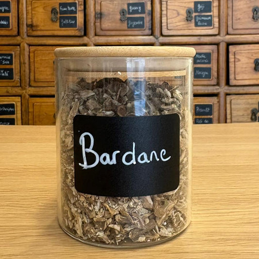 racine de bardane bio