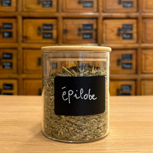 épilobe à petite fleurs