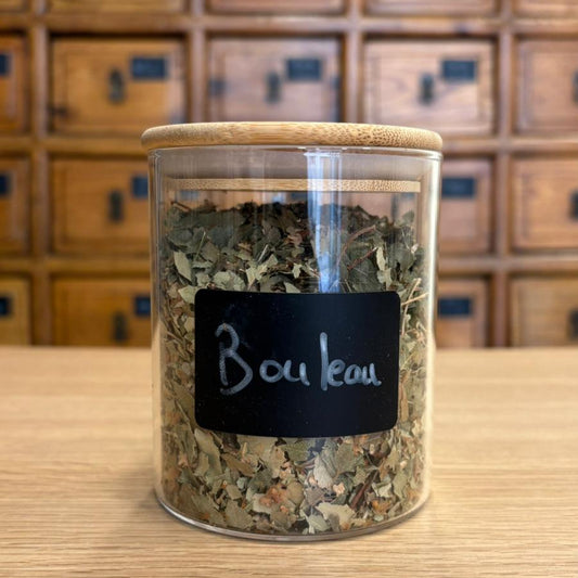bouleau
