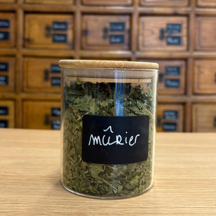 mûrier feuilles en vrac 