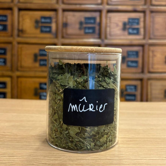 mûrier feuilles en vrac 