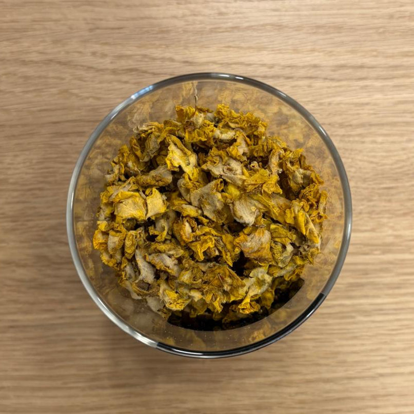 bouillon blanc en fleur 