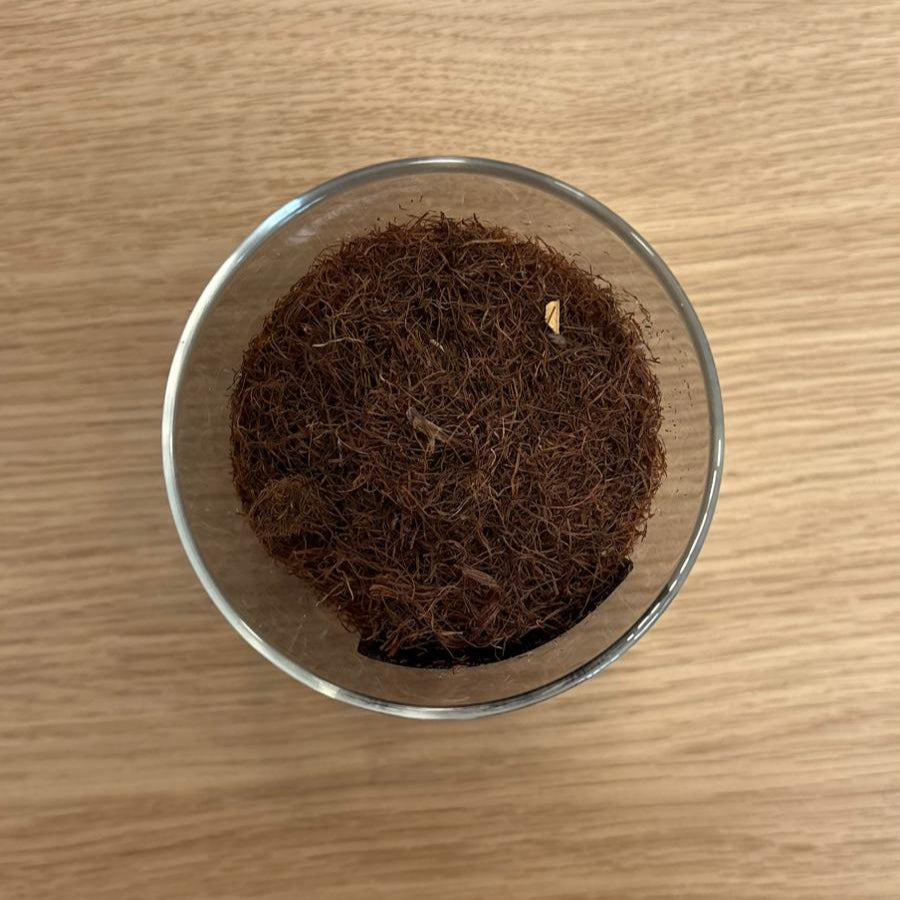 stigmate de maïs en vrac 