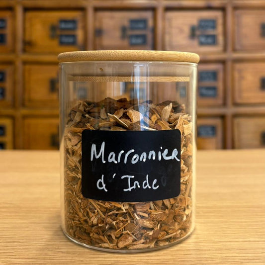 marronnier d'inde