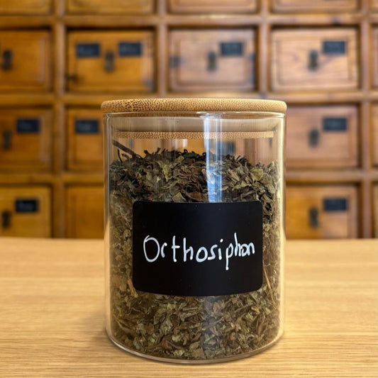 orthosiphon_vrac bio