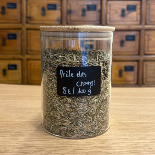 prêle des champs bio 