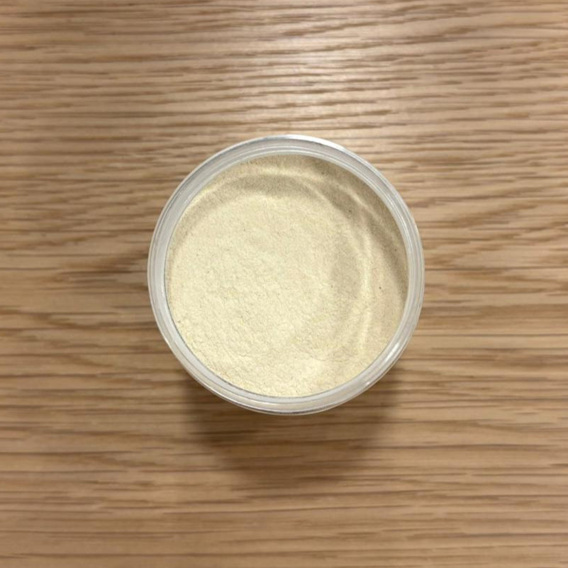 shatavari brut en poudre 