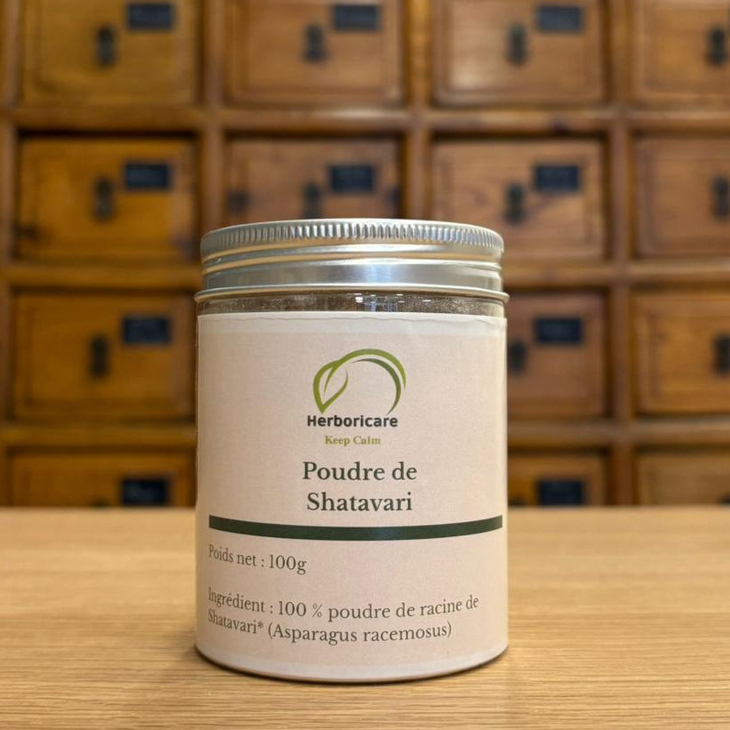 shatavari poudre